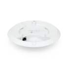 U6+_5